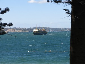 Manly Ferry