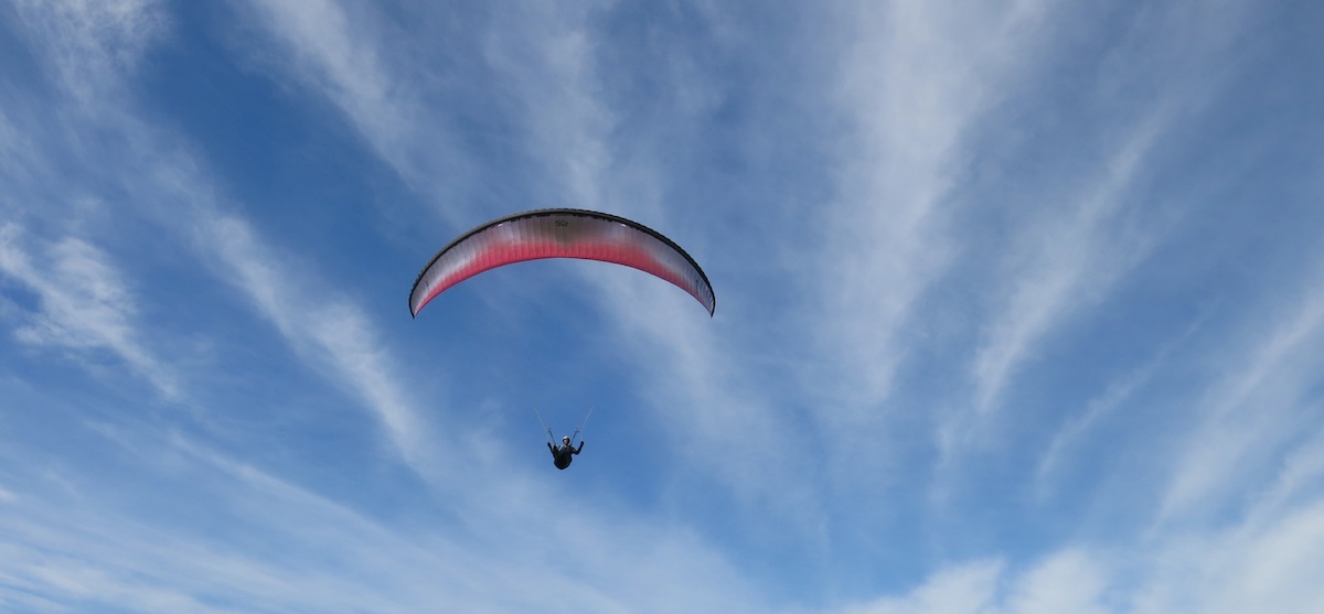 Paragliding Taylors Mistake
