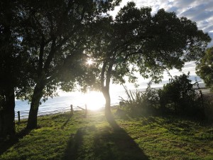 Ruby Bay Camping Nelson