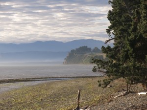 Ruby Bay Tasman Region