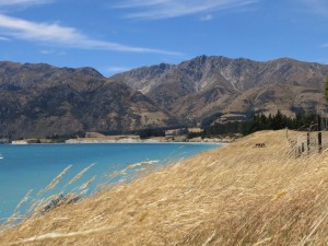 Lake Hawea, Otago