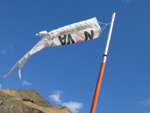 Windsock Treble Cone