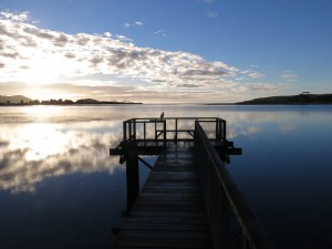 The Catlins NP