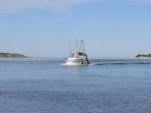 Fishing boat New Zealand