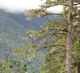 Mountains in Taiwan