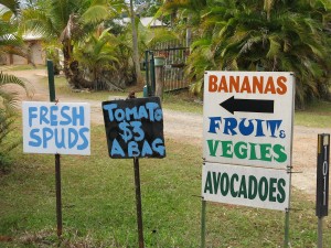 Farms selling veggies and fruit