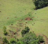 Farmland Tablelands