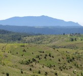 IMG_8269