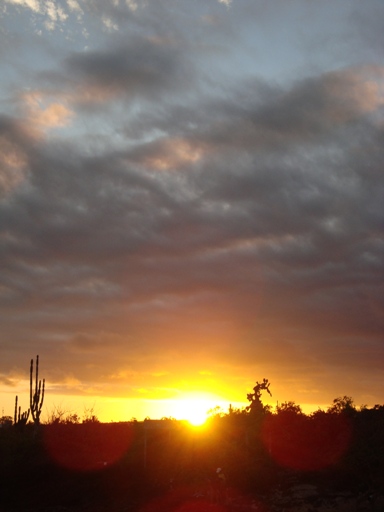 dsc00345.JPG