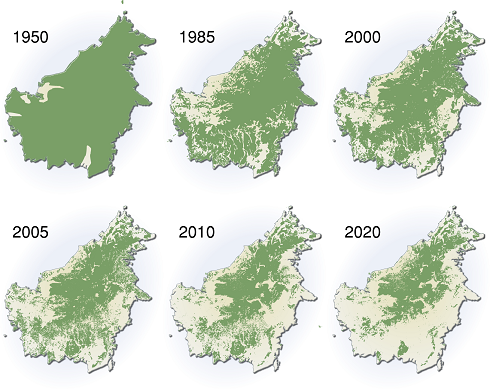 Deforestation Borneo